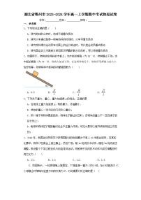 湖北省鄂州市2023-2024学年高一上学期期中考试物理试卷（含解析）
