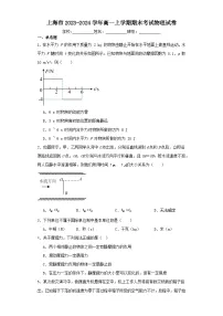上海市2023-2024学年高一上学期期末考试物理试卷(含解析)