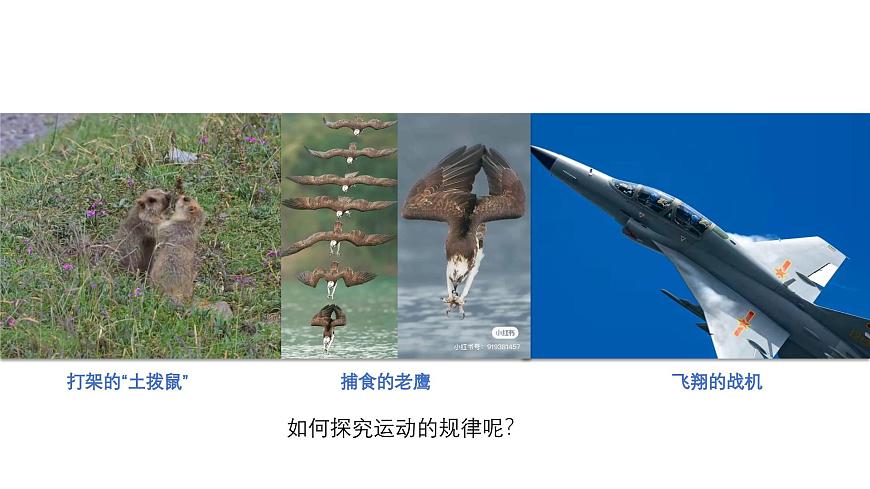 人教版 高中物理必修第一冊第二章第1節(jié)《實(shí)驗(yàn)：探究小車隨時(shí)間變化的規(guī)律》課件第3頁
