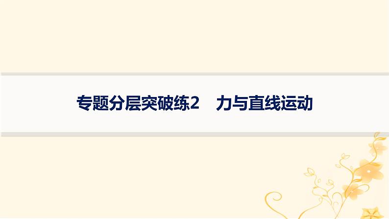适用于新高考新教材2024版高考物理二轮复习专题分层突破练2力与直线运动课件第1页