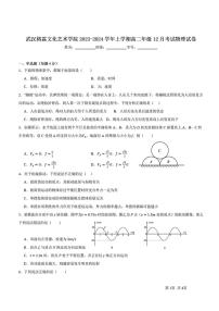 湖北省武汉市武汉榕霖文化艺术学院2023-2024学年高二上学期12月月考物理试卷