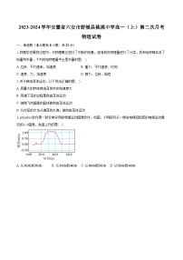 2023-2024学年安徽省六安市舒城县桃溪中学高一（上）第二次月考物理试卷(含解析）