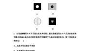 高中物理教科版 (2019)选择性必修 第一册6 光的衍射与偏振综合训练题