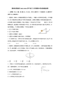 陕西省渭南市2023-2024学年高三上学期期中考试物理试卷（含答案）