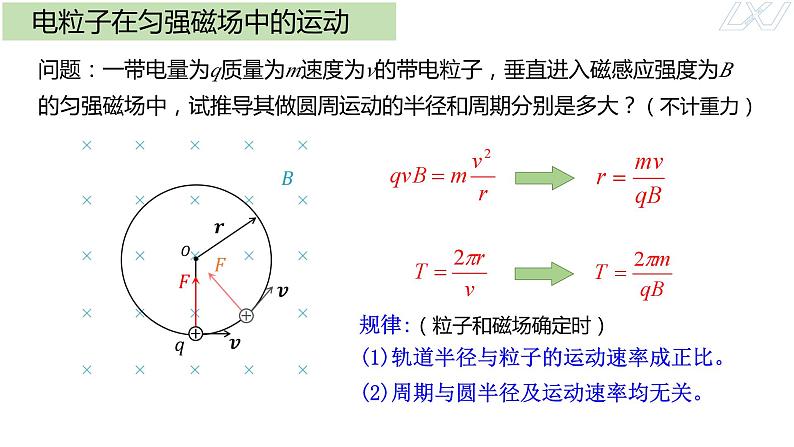 1.3带电粒子在匀强磁场中的运动课件高二下学期物理人教版(2019)选择性必修第二册+第5页