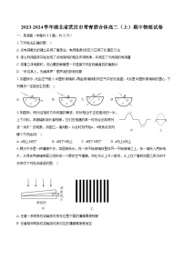 2023-2024学年湖北省武汉市常青联合体高二（上）期中物理试卷（含解析）