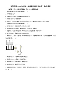 上海市东华大学附属奉贤致远中学2023-2024学年高二上学期期中物理试题(Word版附解析)