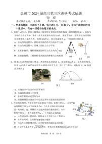 廣東省惠州市2024屆高三第三次調(diào)研考試試題物理試題和答案