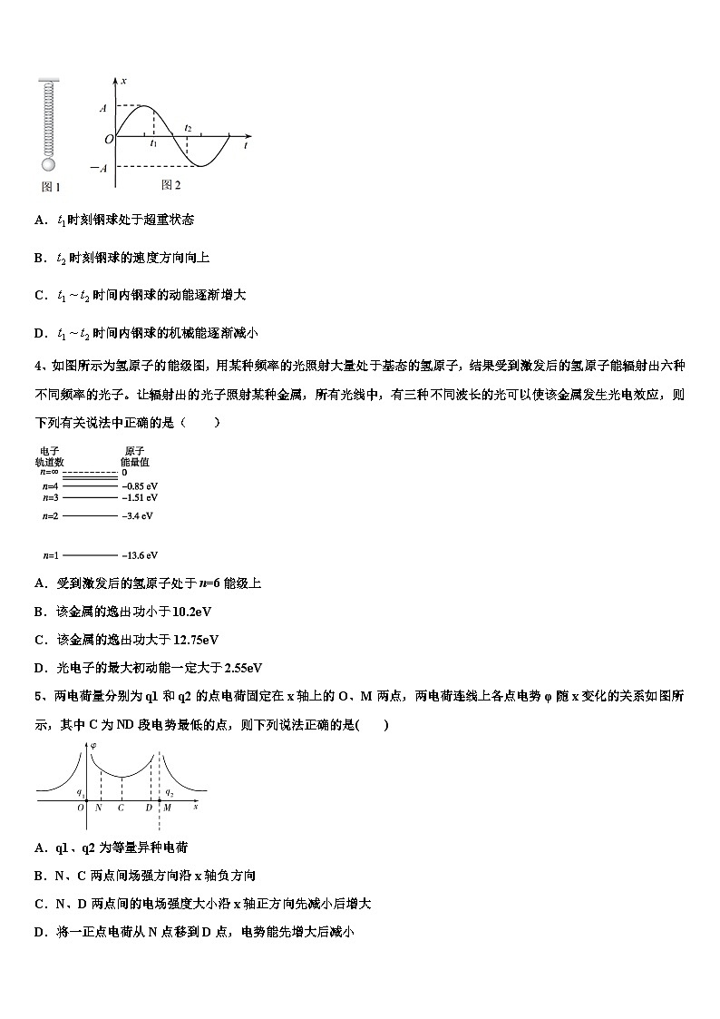 浙江省2024届高三上学期物理拟模试卷02