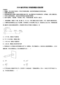 2024届天津市高三寒假物理提升试题试卷