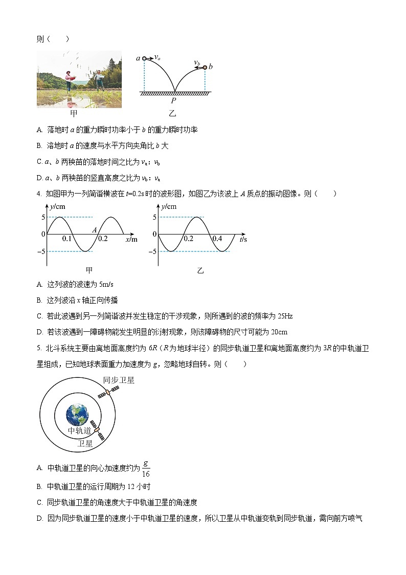 重庆市主城区2024届高三上学期第一次学业质量检测试题物理试卷(Word版附解析)第2页