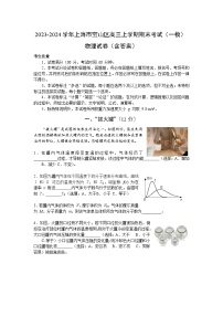 2023-2024学年上海市宝山区高三上学期期末考试（一模）物理试卷（含答案）