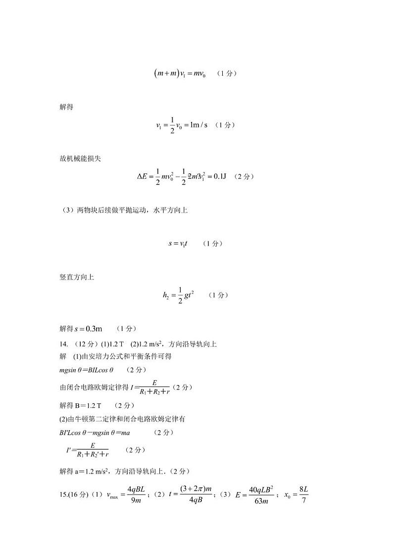 河北省石家庄市辛集市2023-2024学年高三上学期2月期末高三物理试卷02