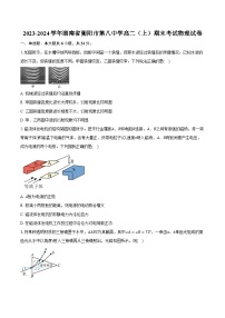 2023-2024学年湖南省衡阳市第八中学高二（上）期末考试物理试卷（含解析）