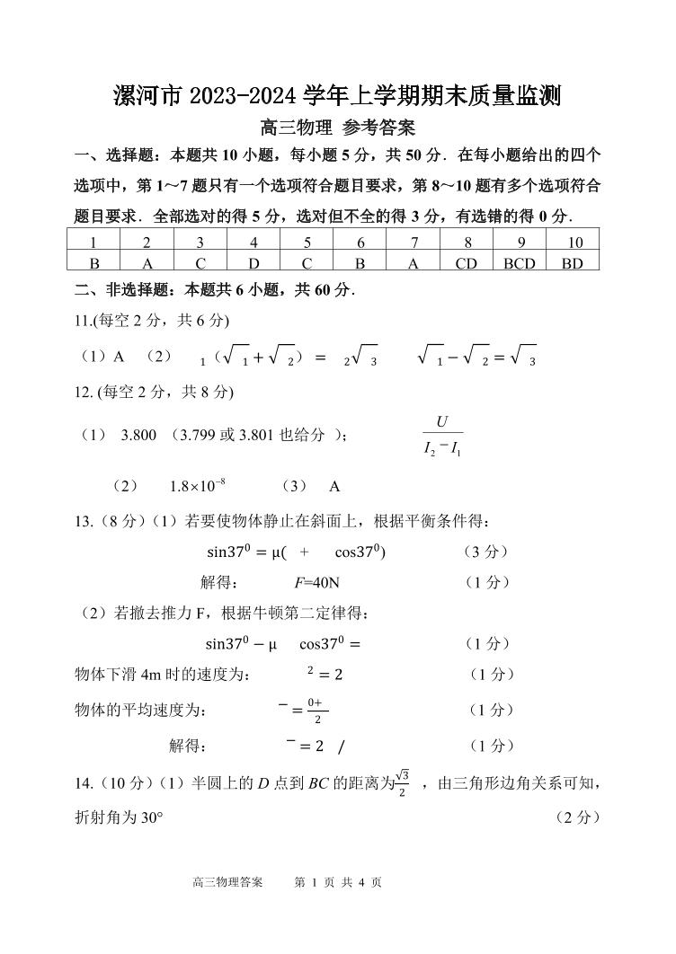 19，河南省漯河市2023-2024学年高三上学期期末质量监测物理试题(1)