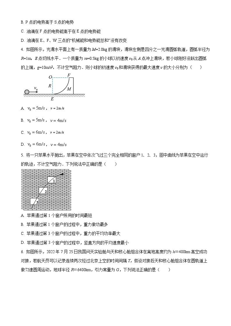 重庆市乌江新高考协作体2023-2024学年高三下学期开学考试物理试题(Word版附解析)02