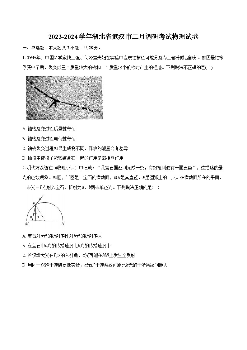 2023-2024学年湖北省武汉市二月调研考试物理试卷(含解析)01