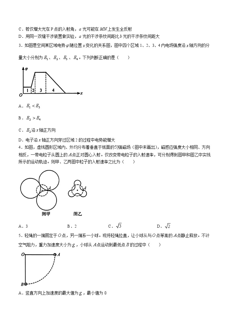 2024武汉高三年级二月调研考试物理试卷含答案02