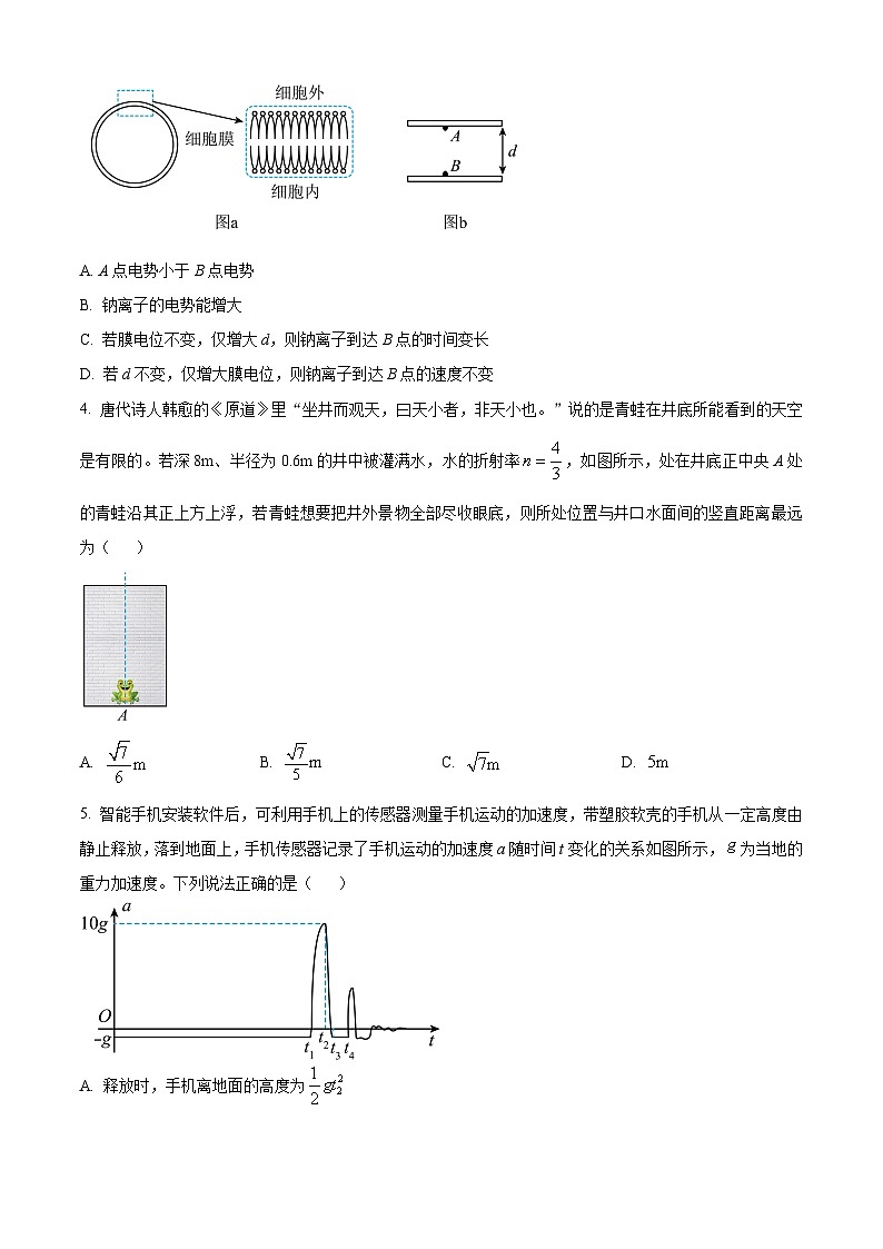 2024届甘肃省高三下学期一模物理试题(原卷版+解析版)02
