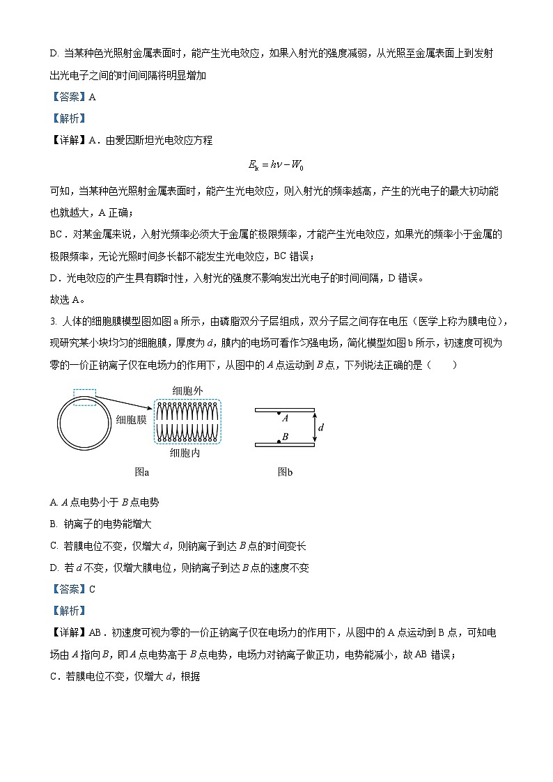 2024届甘肃省高三下学期一模物理试题(原卷版+解析版)02