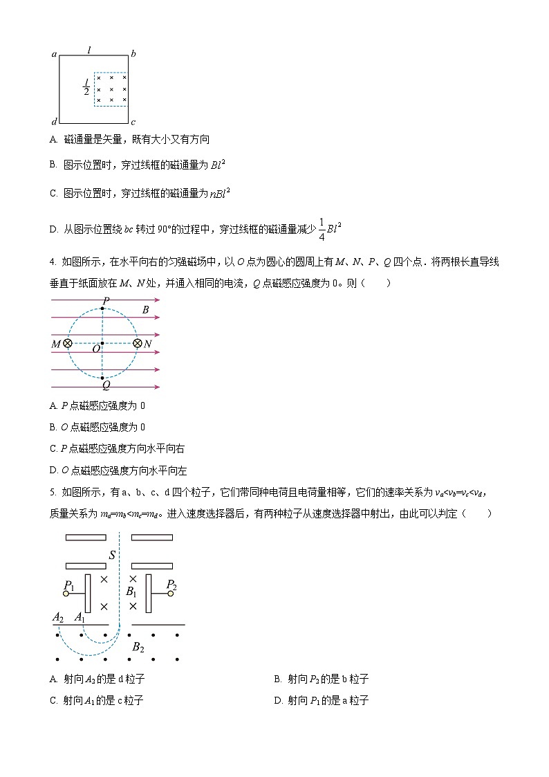 2024眉山仁寿一中南校区高二下学期3月月考物理试题含解析02