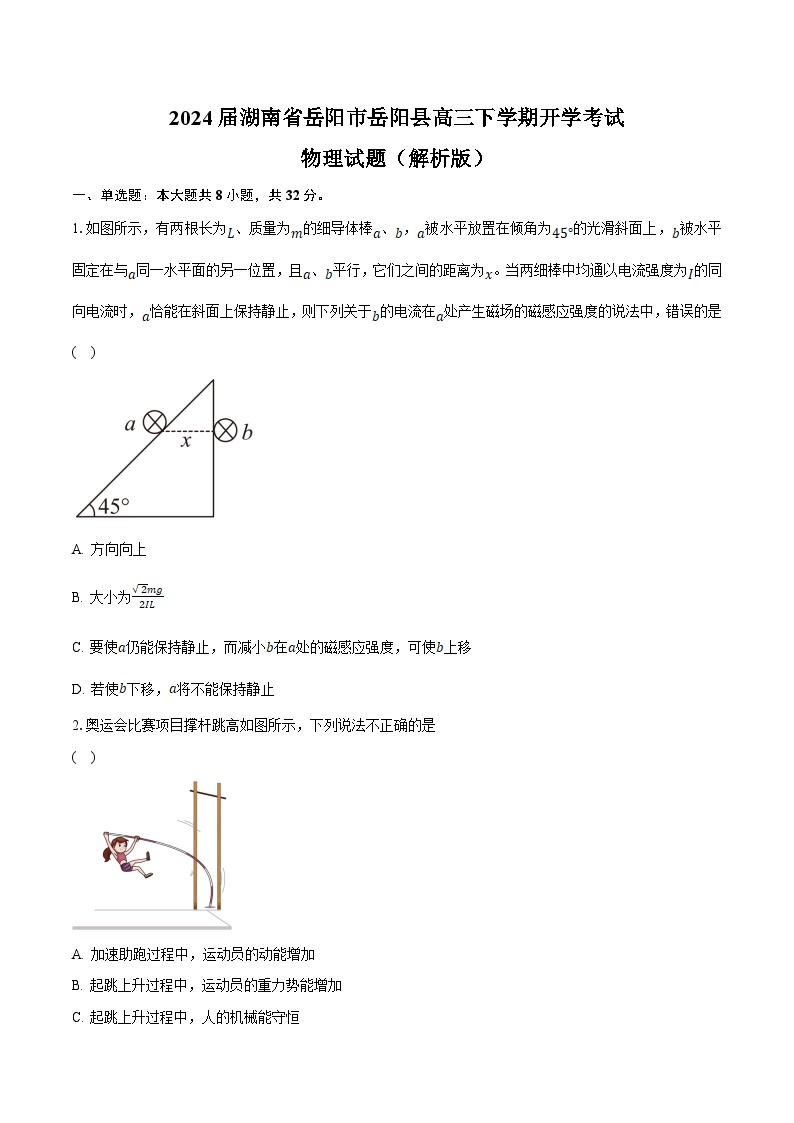 2024届湖南省岳阳市岳阳县高三下学期开学考试物理试题（解析版）