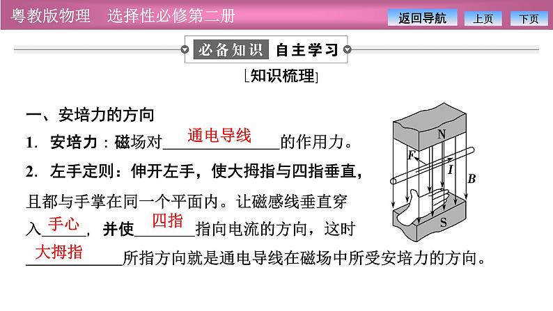 2023-2024学年粤教版(2019)选择性必修第二册 1.1安培力 课件04