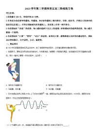 2024年上海市奉贤区高三下学期高考二模物理试卷含详解