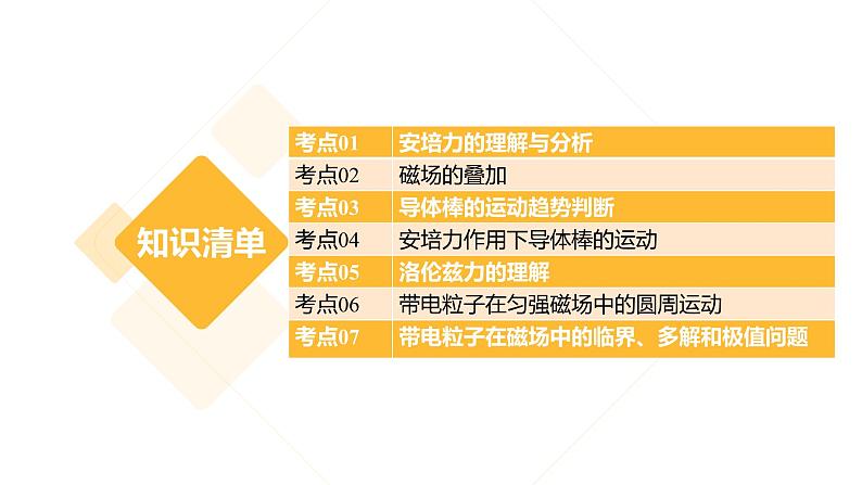 【期中复习】2023-2024学年人教版高二物理下册专题03 安培力与洛伦兹力考点串讲课件第2页