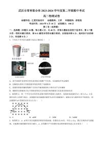 湖北武汉常青联合体2024年高二下学期期中考试物理试卷+答案