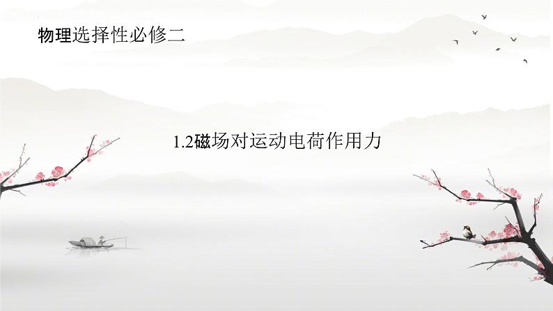 1.2 磁场对运动电荷的作用力2 课件-2023-2024学年高二下学期物理人教版(2019)选择性必修第二册01