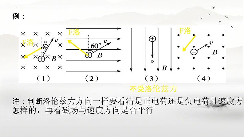 1.2 磁场对运动电荷的作用力2 课件-2023-2024学年高二下学期物理人教版(2019)选择性必修第二册03