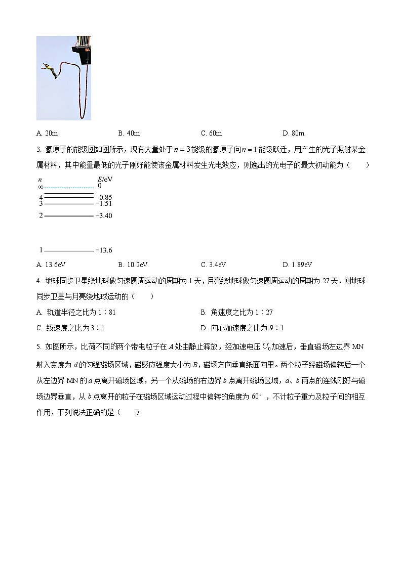 2024届河南省三门峡部分名校高三下学期模拟考试理科综合试题-高中物理(原卷版+解析版)02