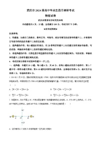 2024屆湖北省武漢市高三下學(xué)期4月調(diào)研（二模）物理試題（原卷版+解析版）