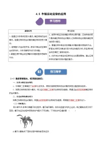 人教版 (2019)必修 第一册5 牛顿运动定律的应用精品同步达标检测题