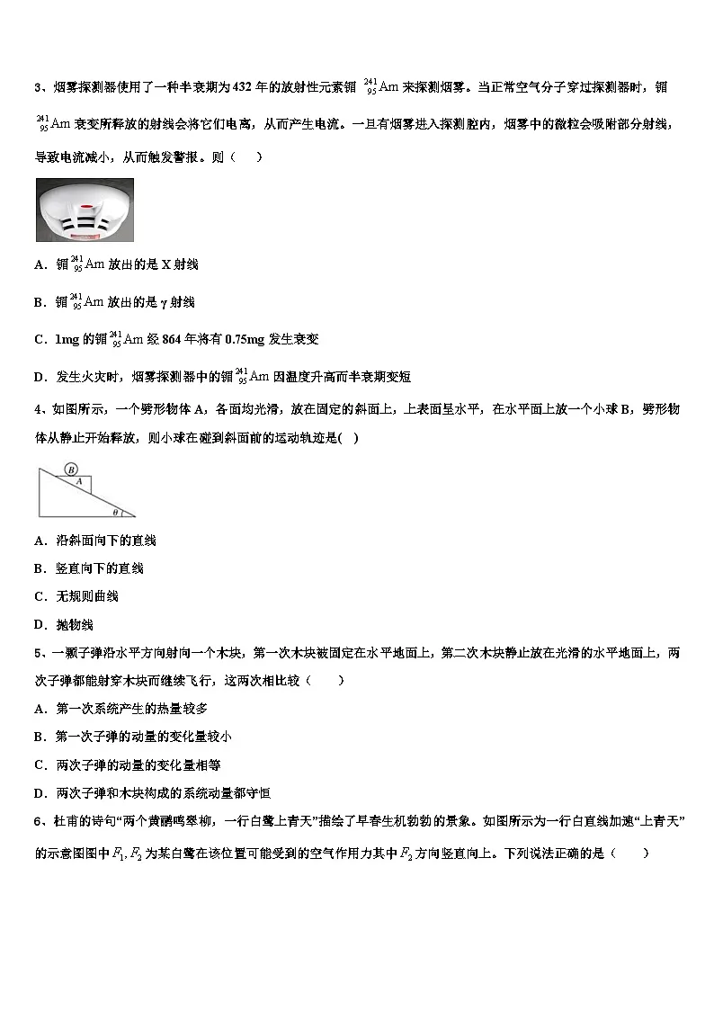 河北市2024届高三物理5月模拟试题第2页