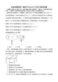 河南省驻马店市新蔡县第一高级中学2023-2024学年高一下学期5月月考物理试题
