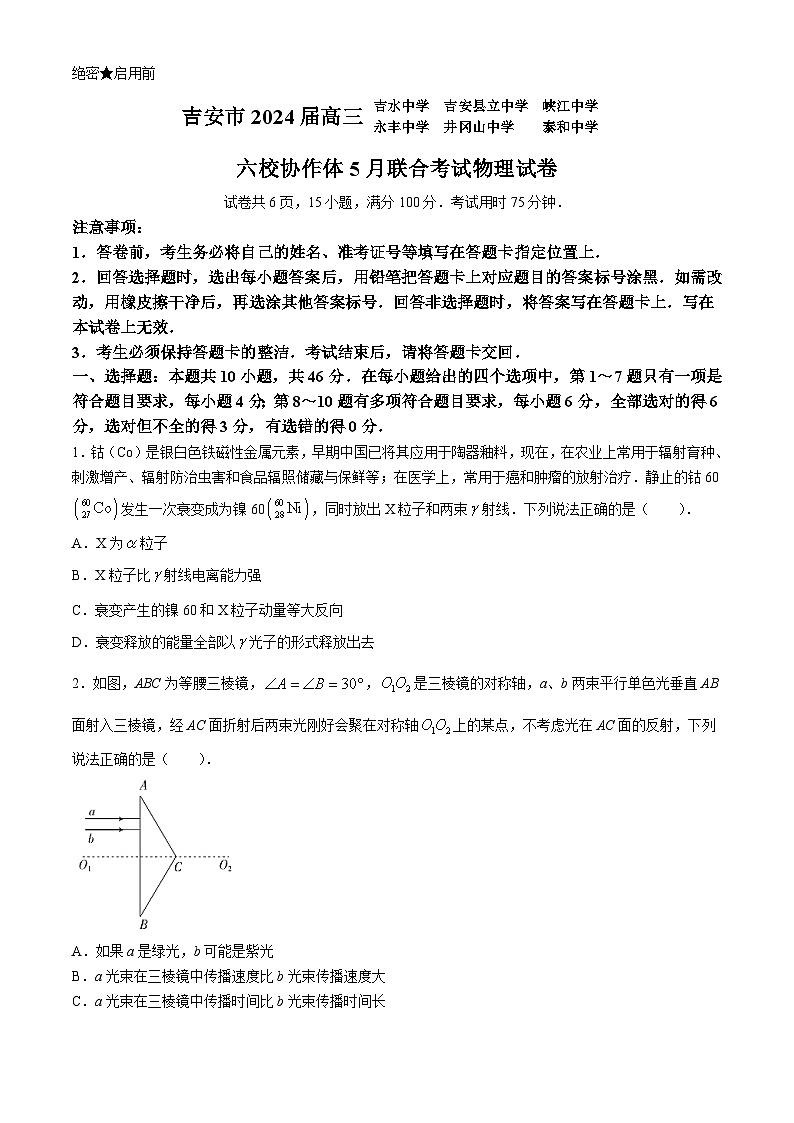 江西省吉安市六校协作体2024届高三下学期5月联考物理试题(Word版附解析)01