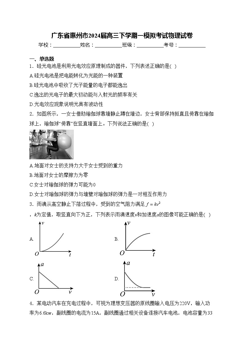 广东省惠州市2024届高三下学期一模拟考试物理试卷(含答案)01