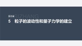 高中5 粒子的波动性和量子力学的建立课前预习ppt课件