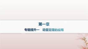 高中物理人教版 (2019)选择性必修 第一册1 动量课堂教学ppt课件