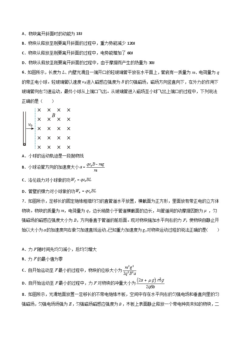 高三物理二轮常见模型与方法强化专训专练专题22带电粒子在复合场(叠加场)中的运动模型(原卷版+解析)第3页