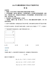 2024年高考真题——物理（安徽卷）试卷（Word版附解析）