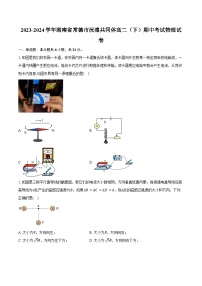 2023-2024学年湖南省常德市沅澧共同体高二(下)期中考试物理试卷(含答案)
