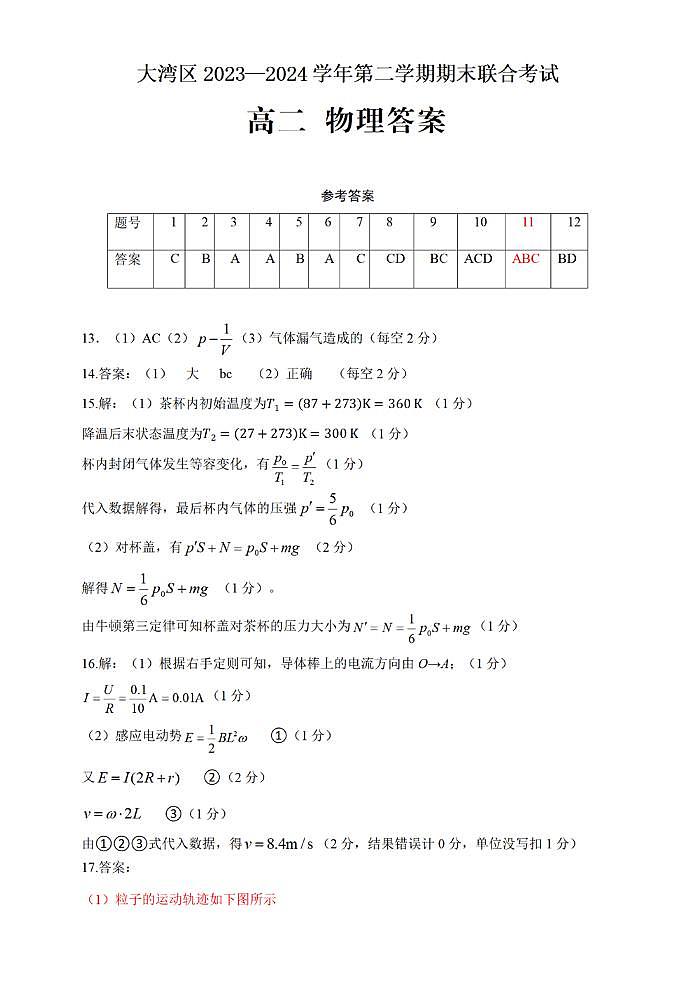 广东省大湾区2023-2024学年高二下学期期末考试物理试题01