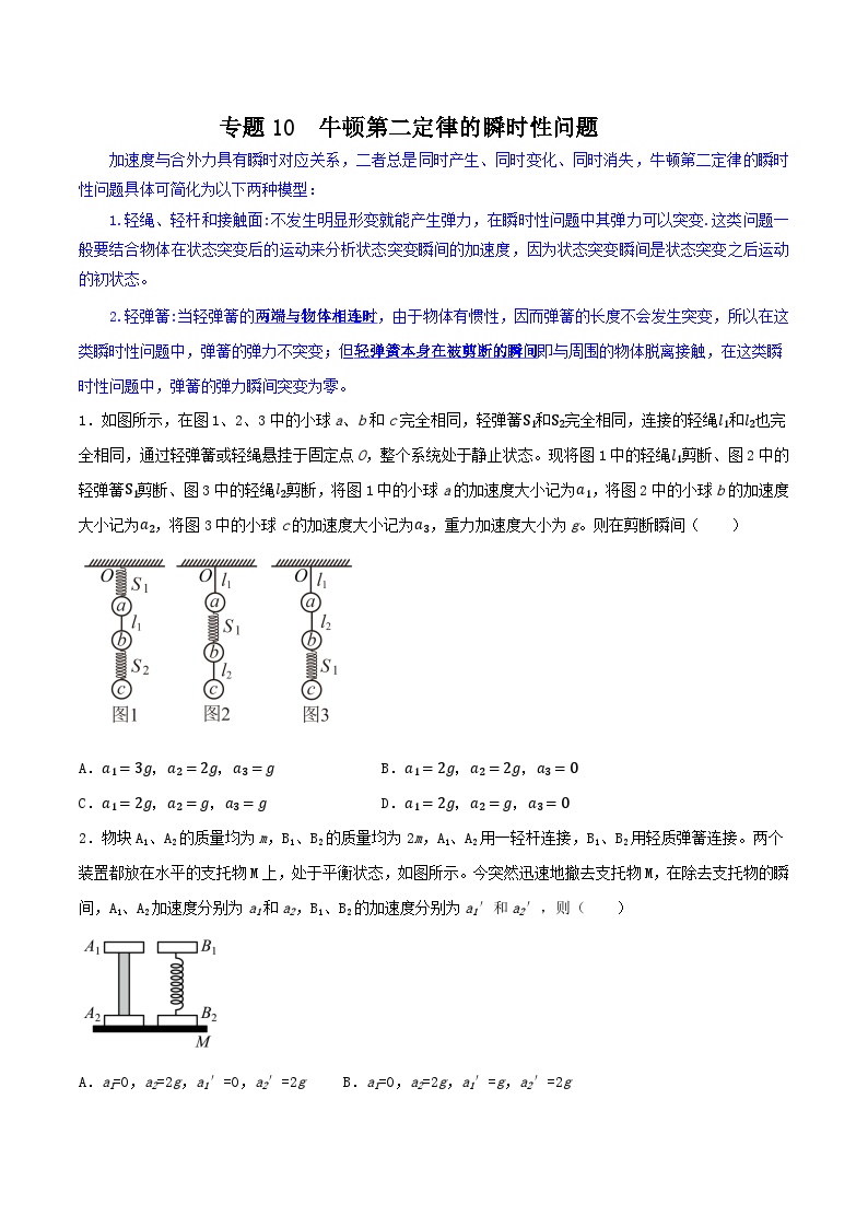 专题10 牛顿第二定律的瞬时性问题-【暑假衔接】新高二物理暑假查漏补缺（全国通用）