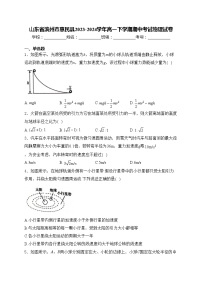 山东省滨州市惠民县2023-2024学年高一下学期期中考试物理试卷(含答案)