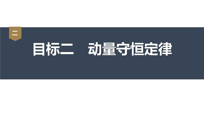 1.3 动量守恒定律 课件(3份打包)-高中物理选择性必修1(人教版2019)08
