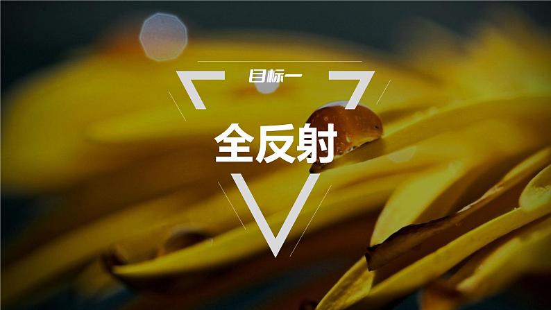 4.2 全反射 课件-高中物理选择性必修1(人教版2019)05