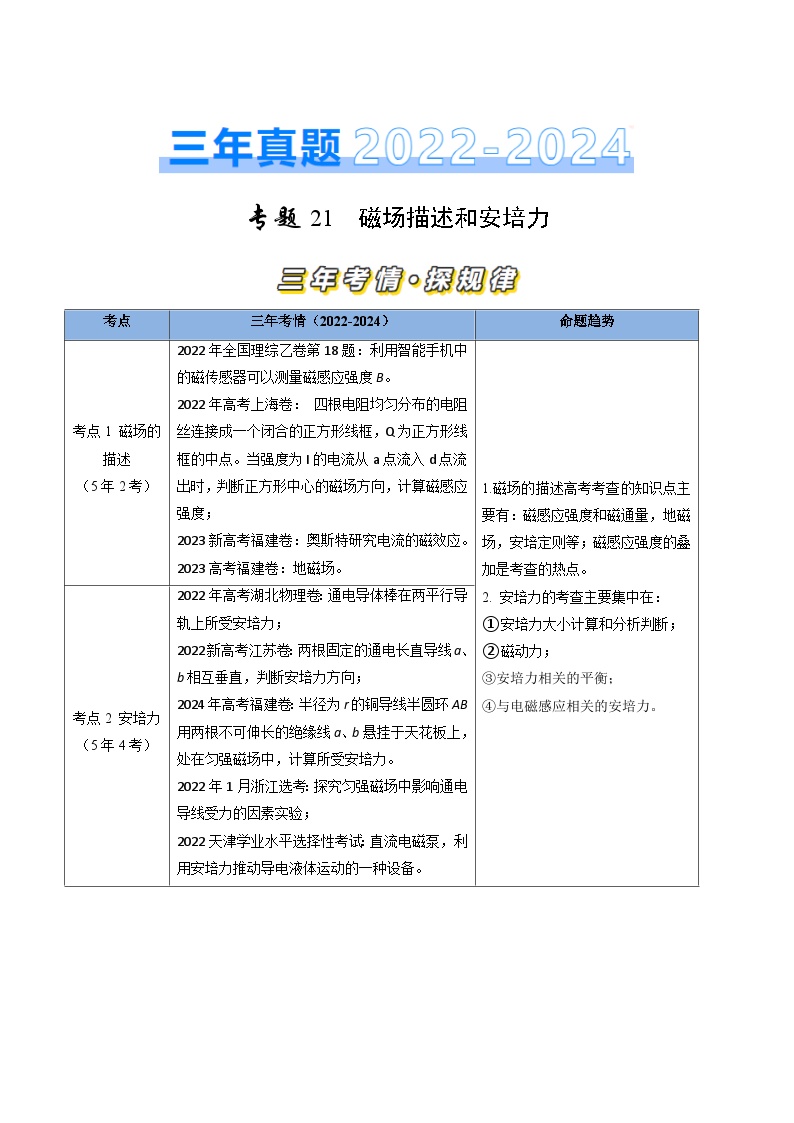 专题21磁场的描述和安培力-三年（2022-2024）高考物理真题分类汇编（全国通用）